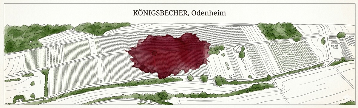 Königsbecher Odenheim