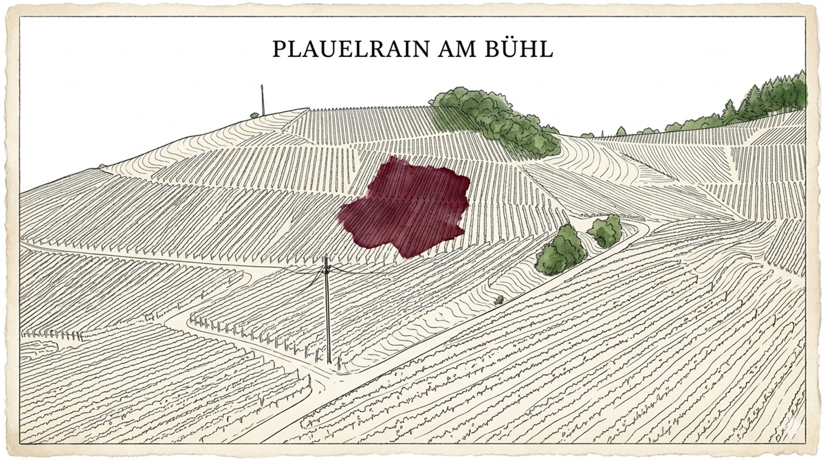 Plauelrain am Bühl