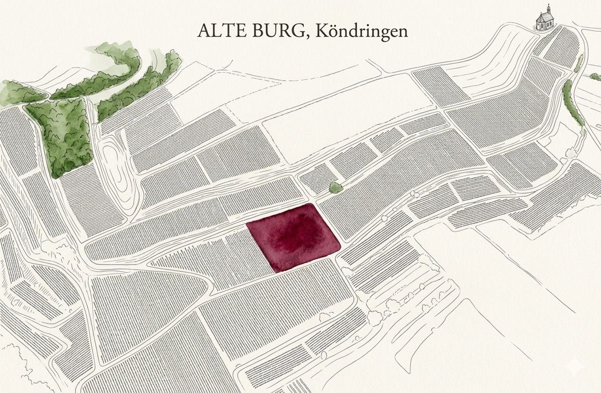 Alte Burg Köndringen