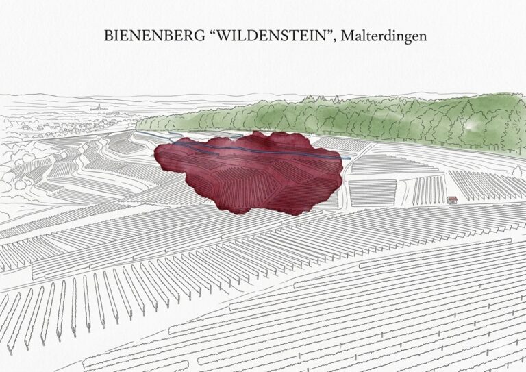 Bienenberg Wildenstein