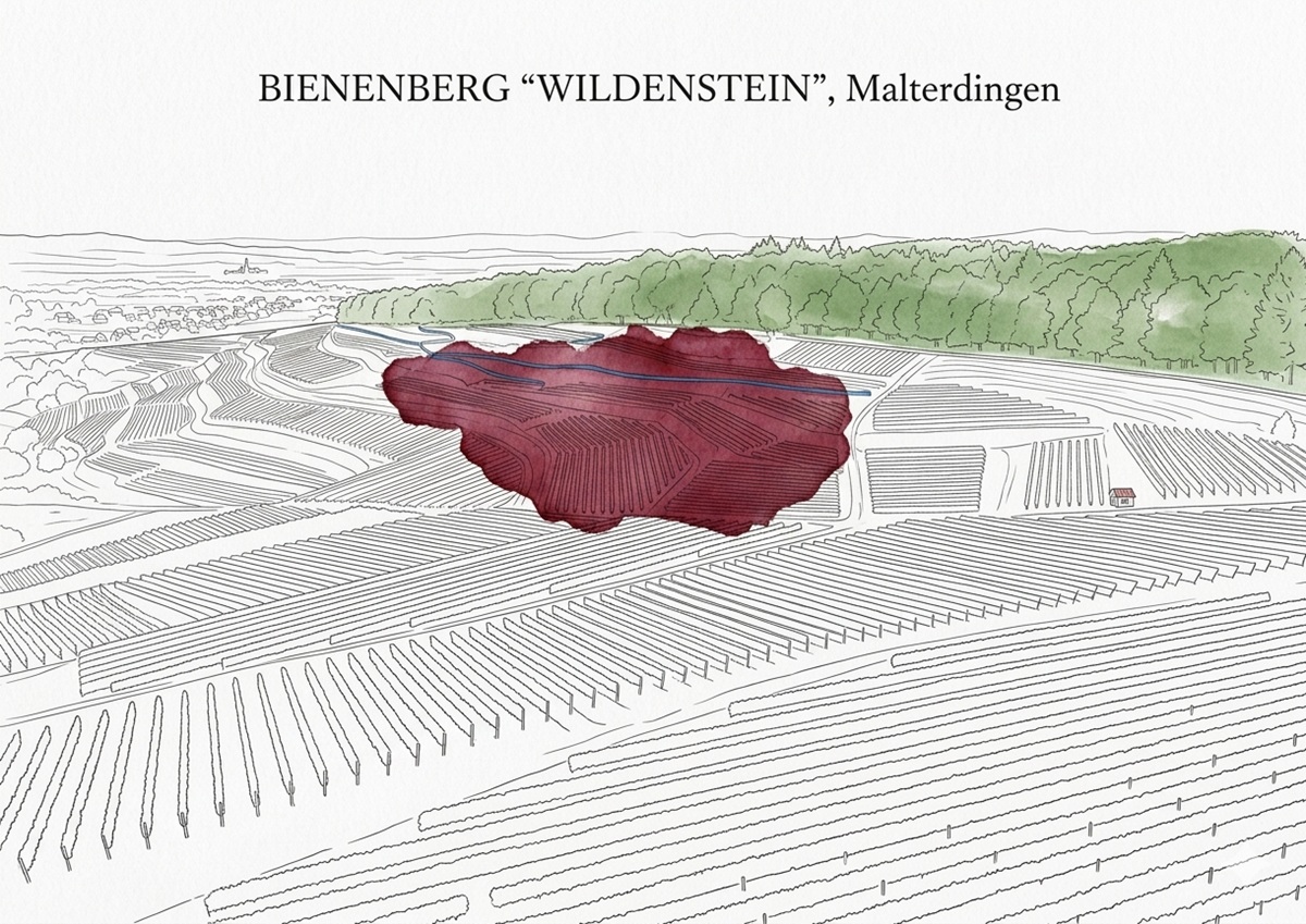 Bienenberg Wildenstein