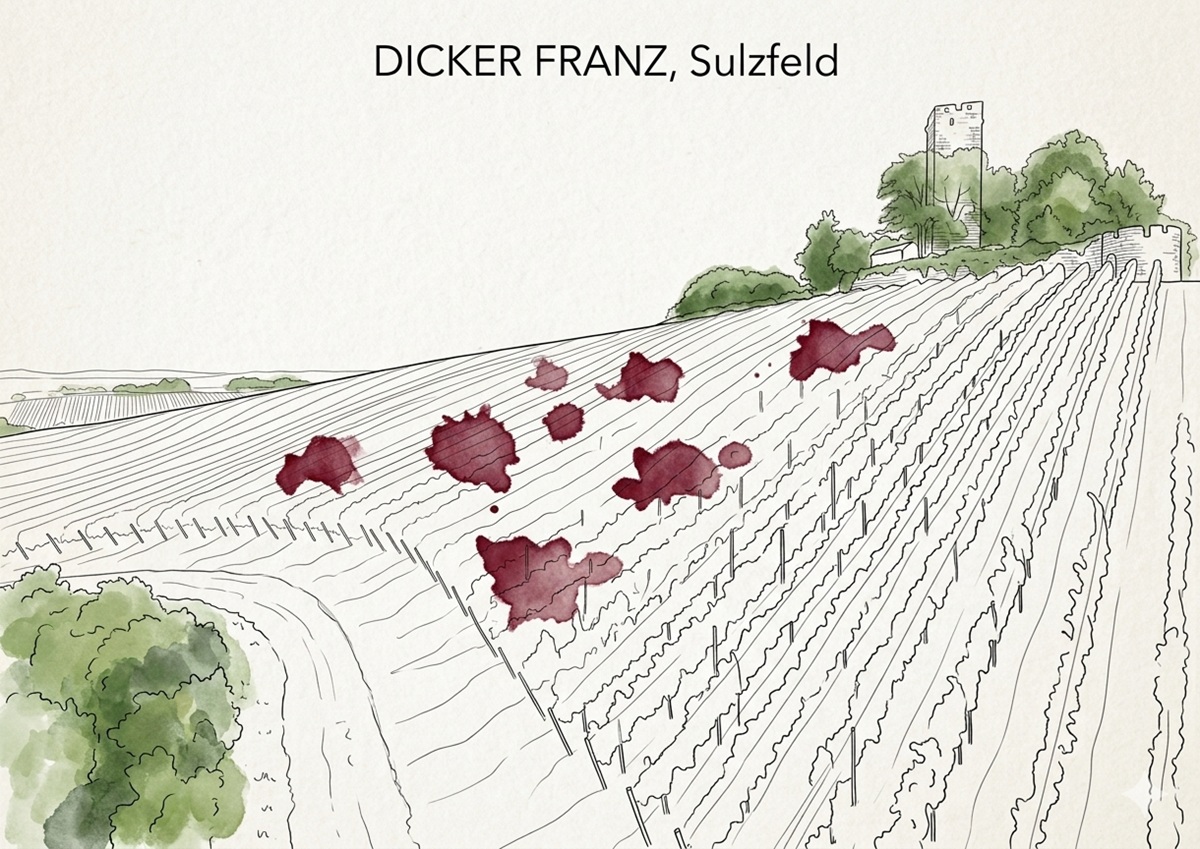 Dicker Franz