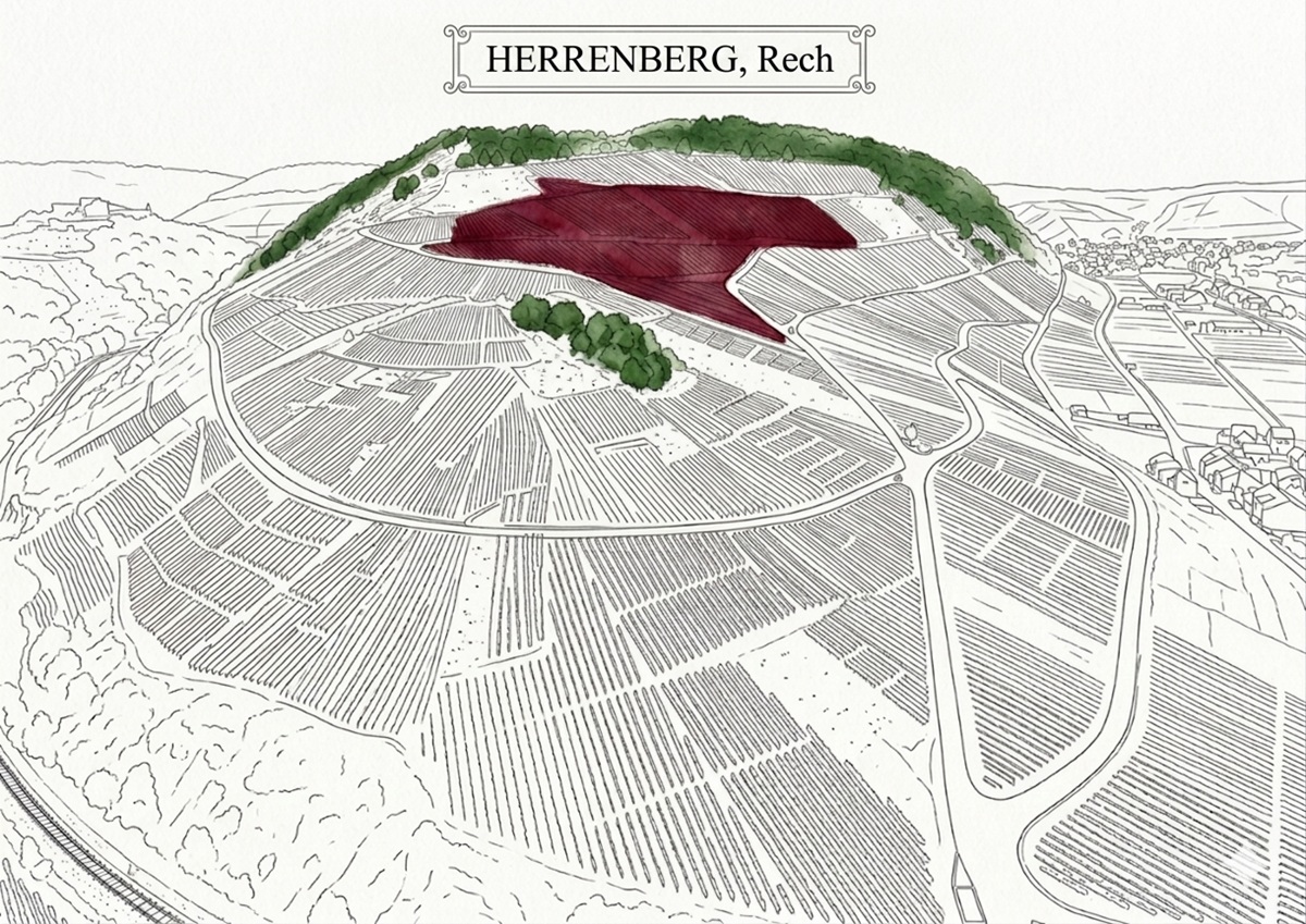 Herrenberg Rech