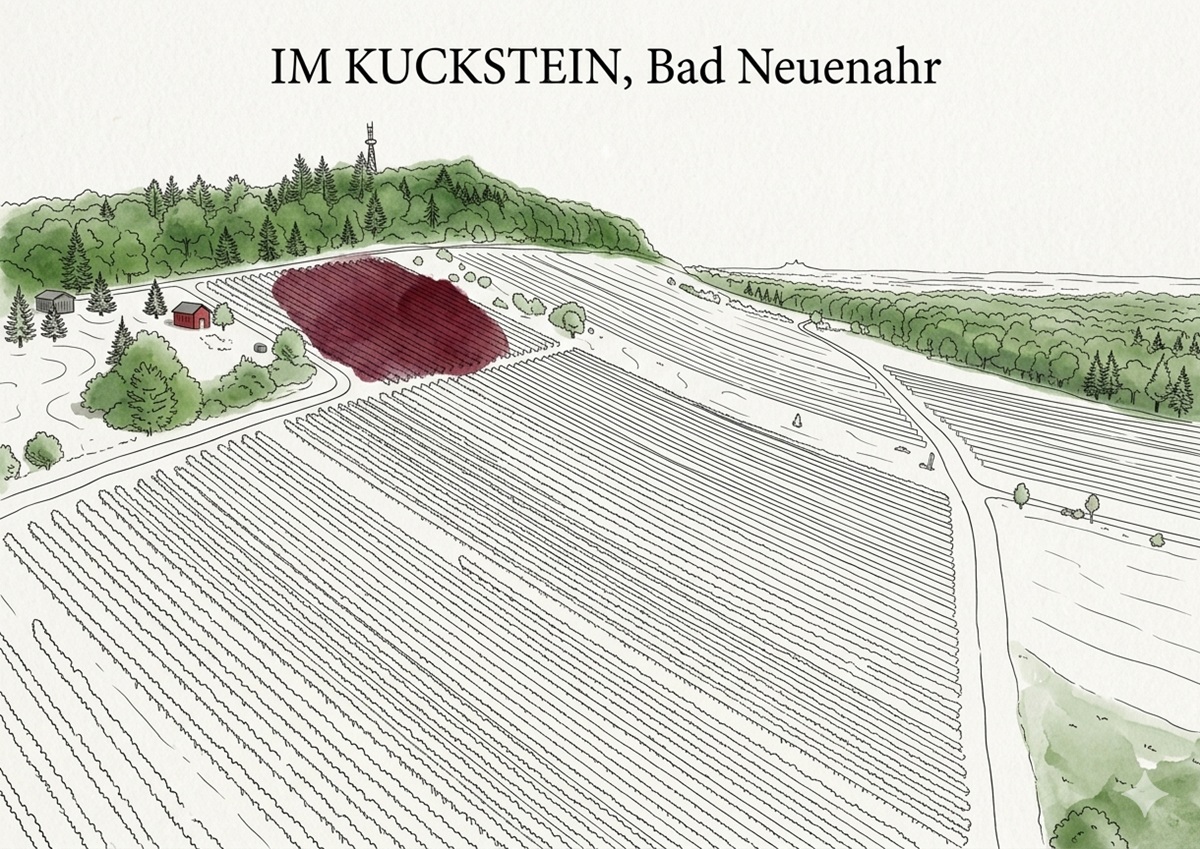 Im Kuckstein