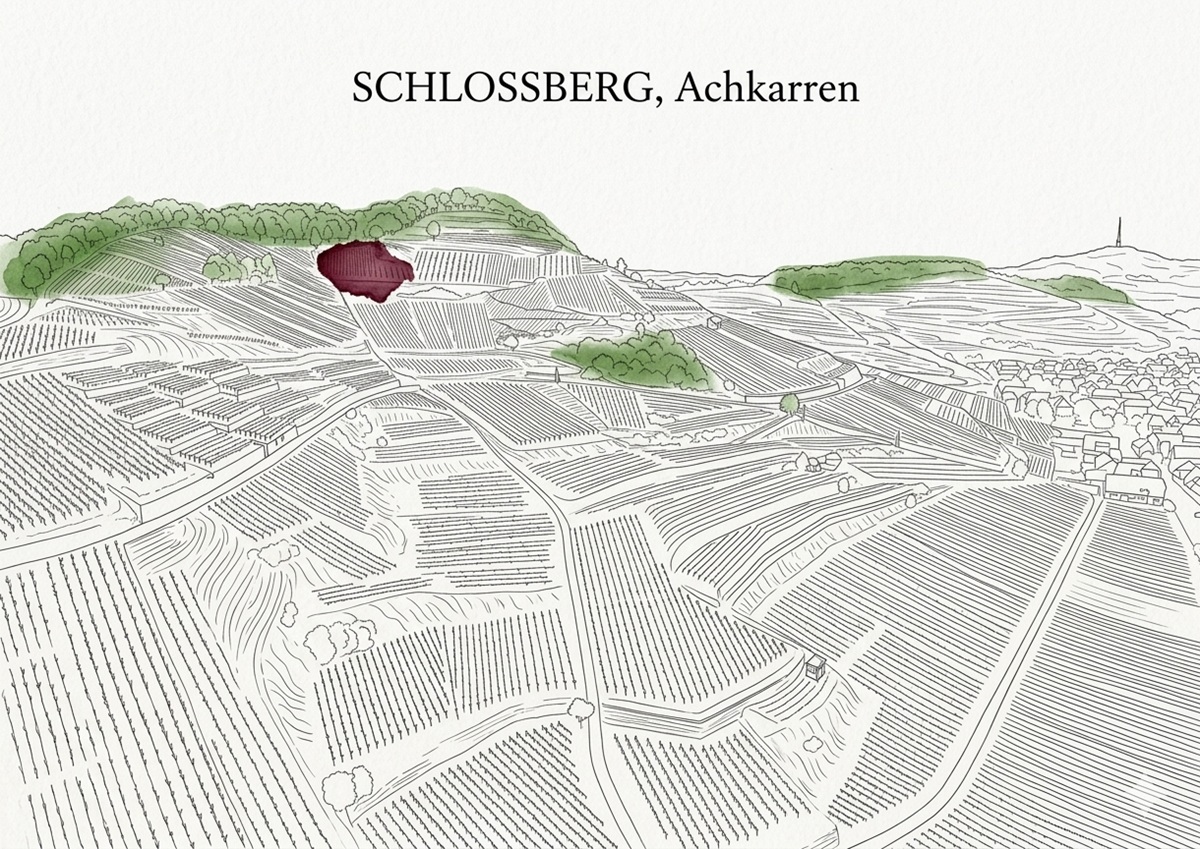 Schlossberg Achkarren