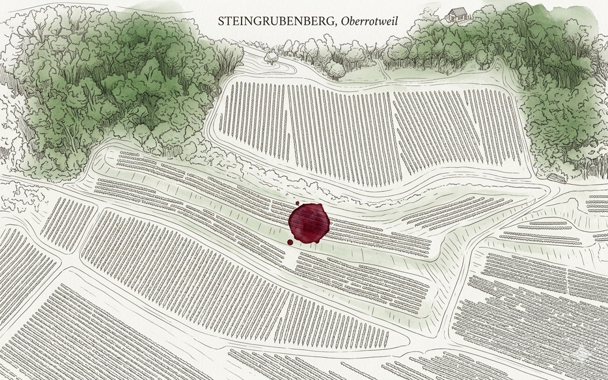 Steingrubenberg Oberrotweil