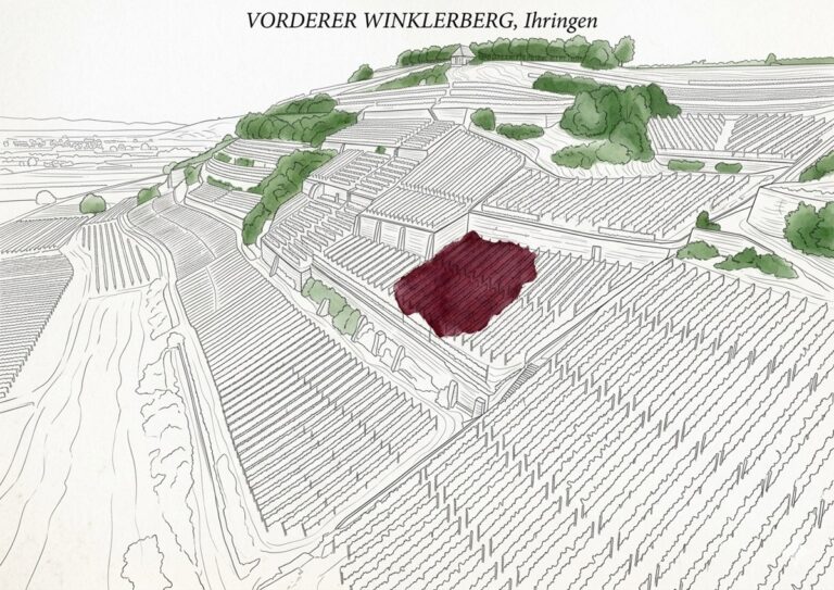 Vorderer Winklerberg Ihringen